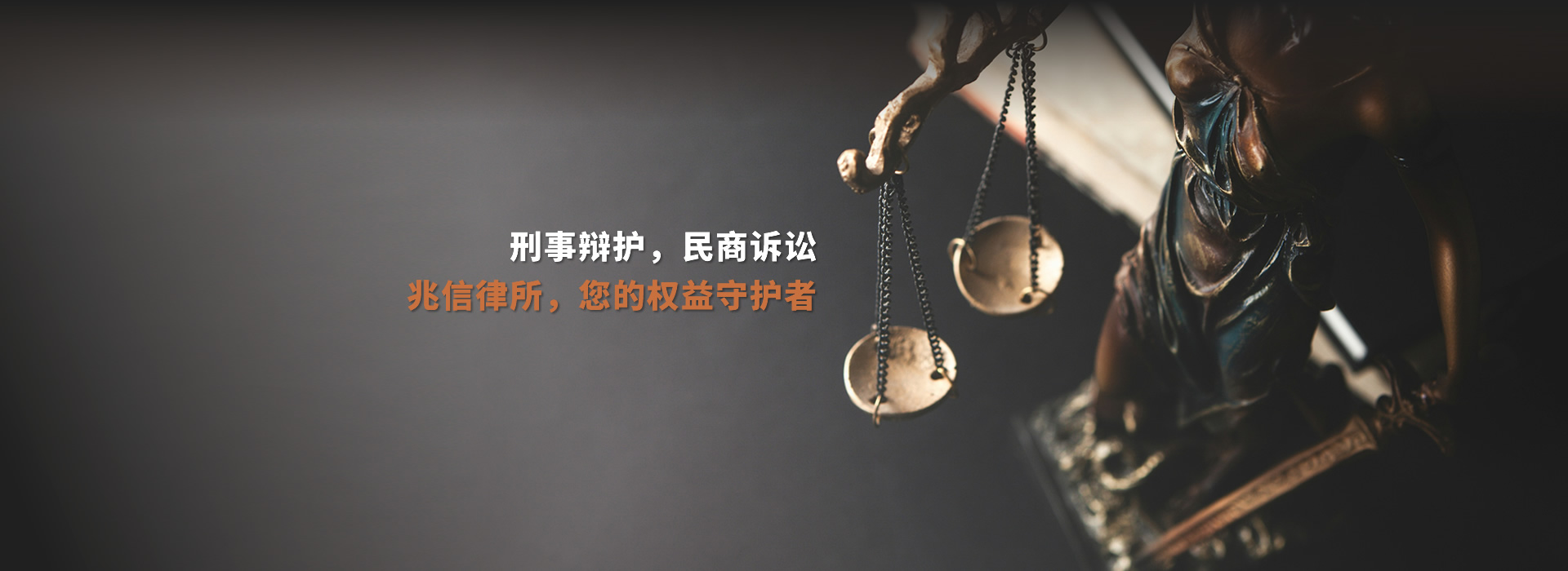 刑事辩护 民商诉讼